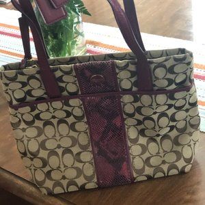 COACH Signature Stripe Python Tote